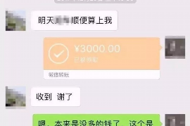 龙城为什么选择专业追讨公司来处理您的债务纠纷？