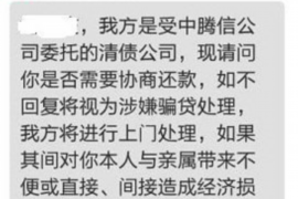 龙城专业讨债公司有哪些核心服务？